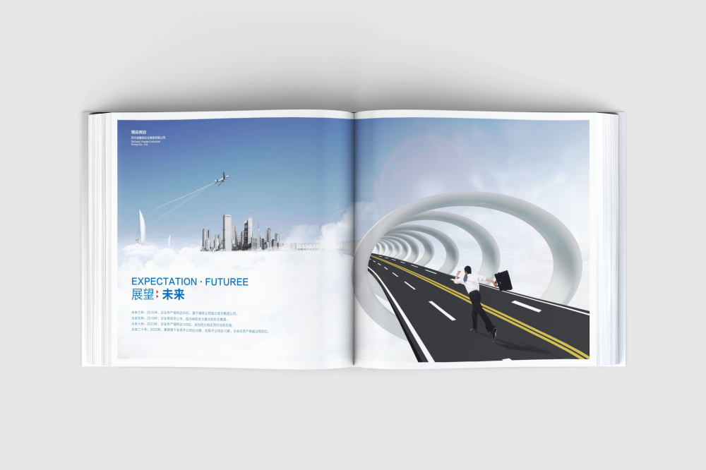 岳池县画册设计